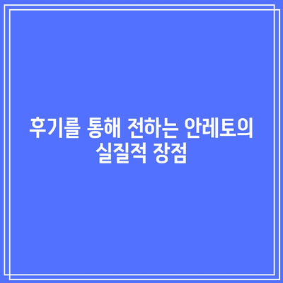 안레토 워드프레스 홈페이지 수료 후기