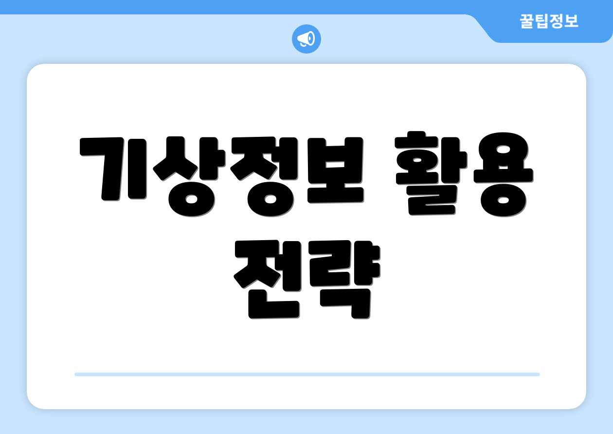 기상정보 활용 전략