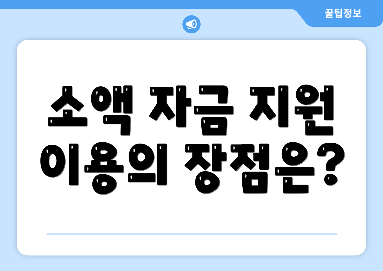 소액 자금 지원 이용의 장점은?